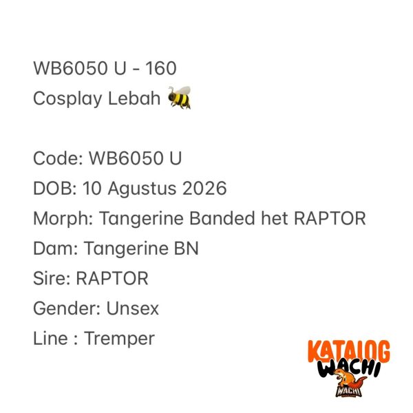 WB6050 U | Cosplay Lebah 🐝