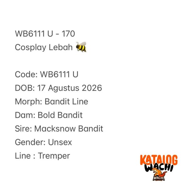 WB6111 U | Cosplay Lebah 🐝