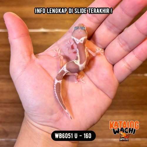 WB6051 U | Kombinasi Putih & Pink 🤍🩷