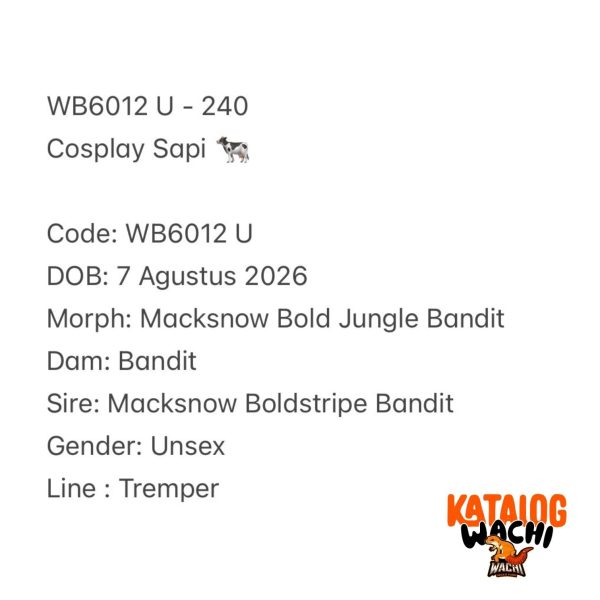 WB6012 U | Cosplay Sapi 🐄