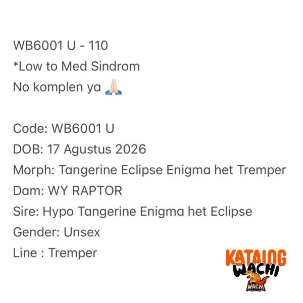 WB6001 U
