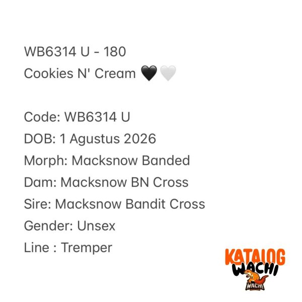 WB6314 U | Cookies N' Cream 🖤🤍