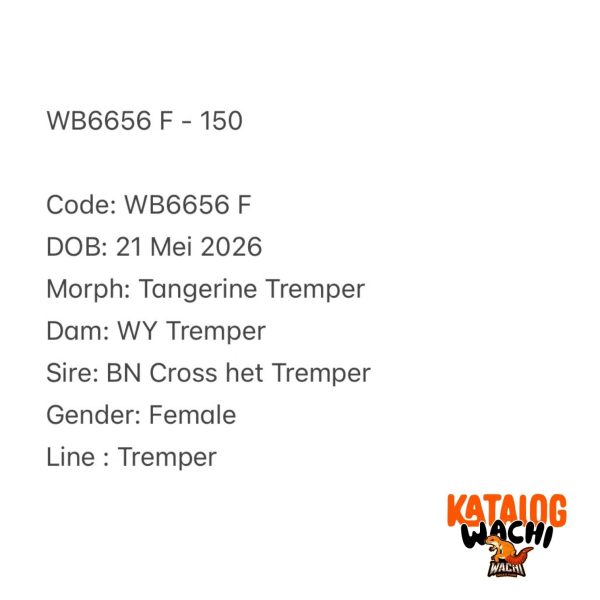 WB6656 F