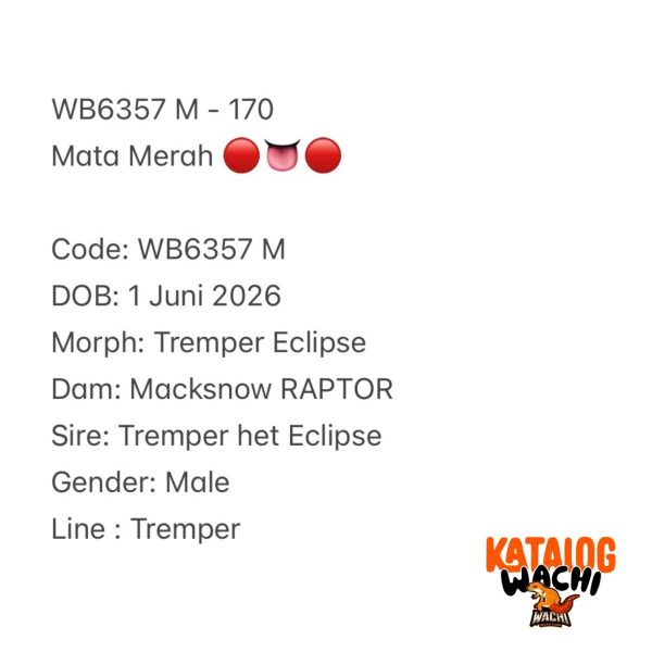 WB6357 M | Mata Merah 🔴👅🔴