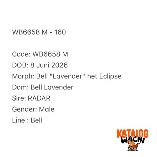 WB6658 M
