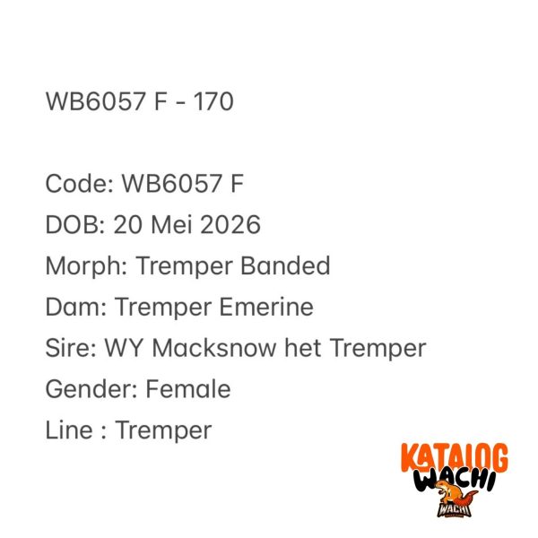 WB6057 F