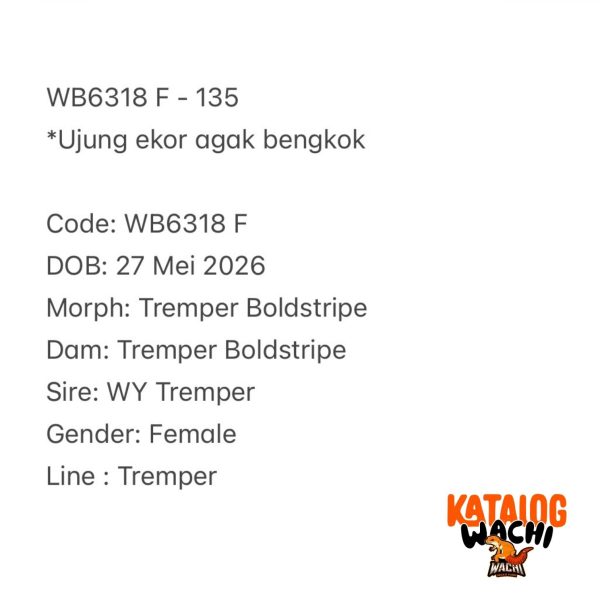 WB6318 F
