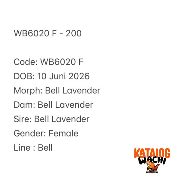WB6020 F
