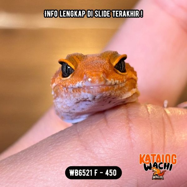 WB6521 F | Es Jeruk PEDAS 🌶️🍊