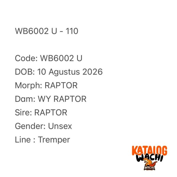 WB6002 U