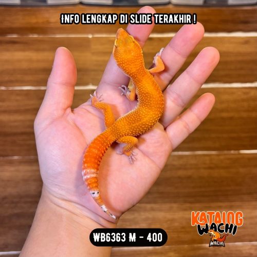 WB6363 M | Es Jeruk Ngejreng 🍊🔥