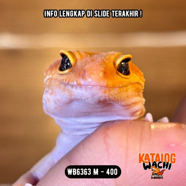 WB6363 M | Es Jeruk Ngejreng 🍊🔥