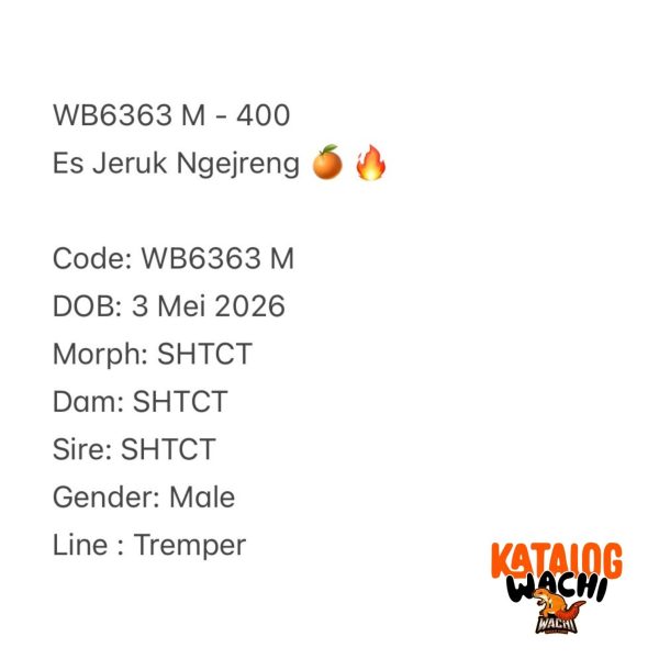 WB6363 M | Es Jeruk Ngejreng 🍊🔥