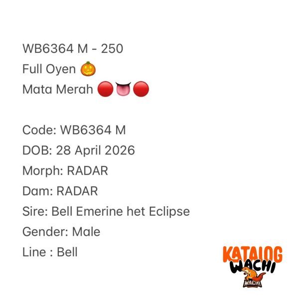 WB6364 M | Full Oyen 🎃 Mata Merah 🔴👅🔴