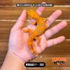 WB6665 F | Jeruk Cakep 🍊🔥