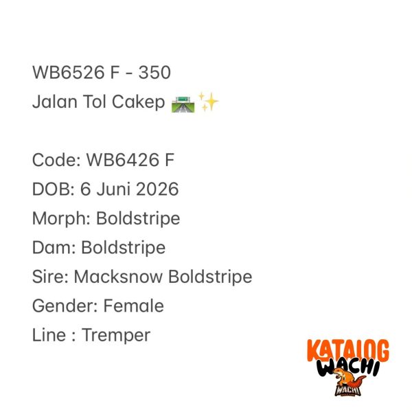 WB6526 F | Jalan Tol Cakep 🛣️✨