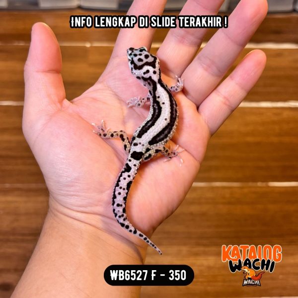 WB6527 F | Cakep Banget 🖤🤍