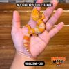 WB6625 M | Jeruk Ciamik 🧡🤍