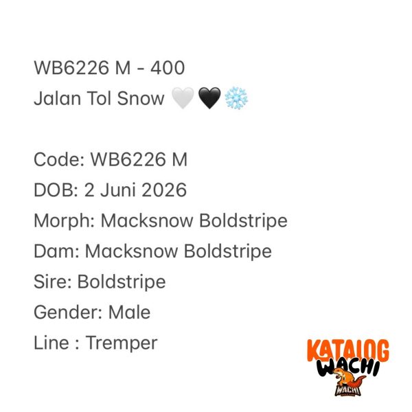 WB6226 M | Jalan Tol Snow 🤍🖤❄️
