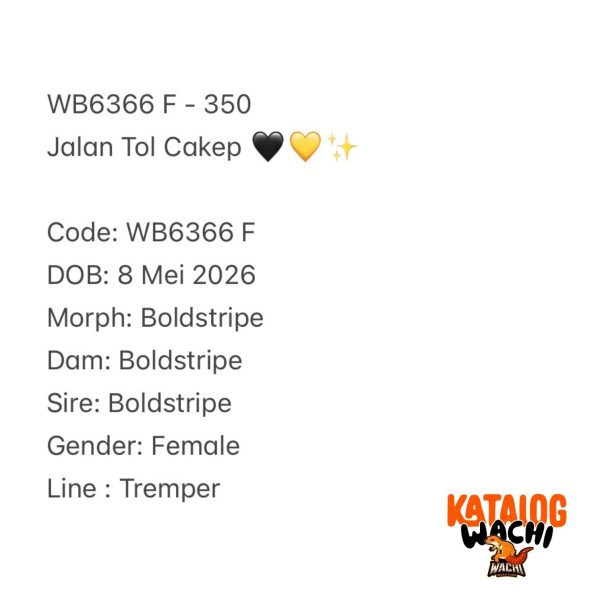 WB6366 F | Jalan Tol Cakep 🖤💛✨
