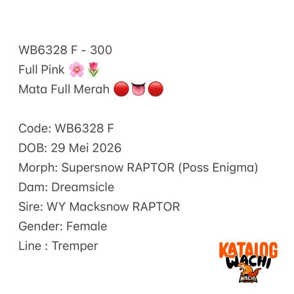 WB6328 F | Full Pink 🌸🌷 Mata Full Merah 🔴👅🔴