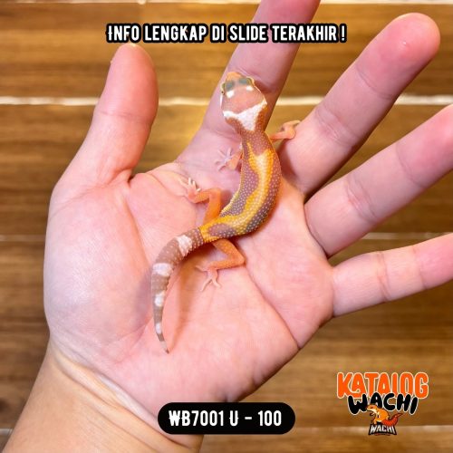 1 WB7001 U