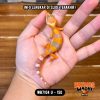 WB7104 U | Baby Jeruk 🍊
