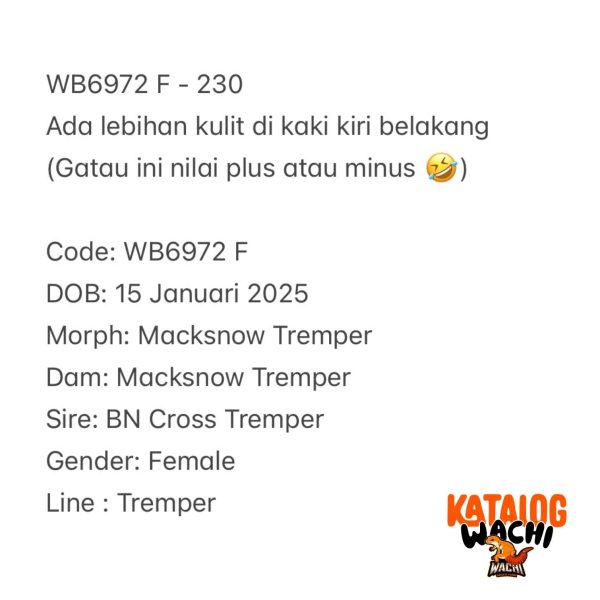 WB6972 F