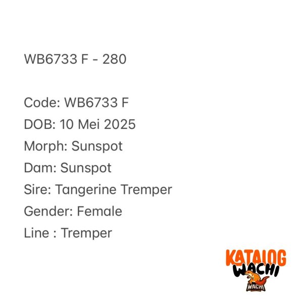 WB6733 F