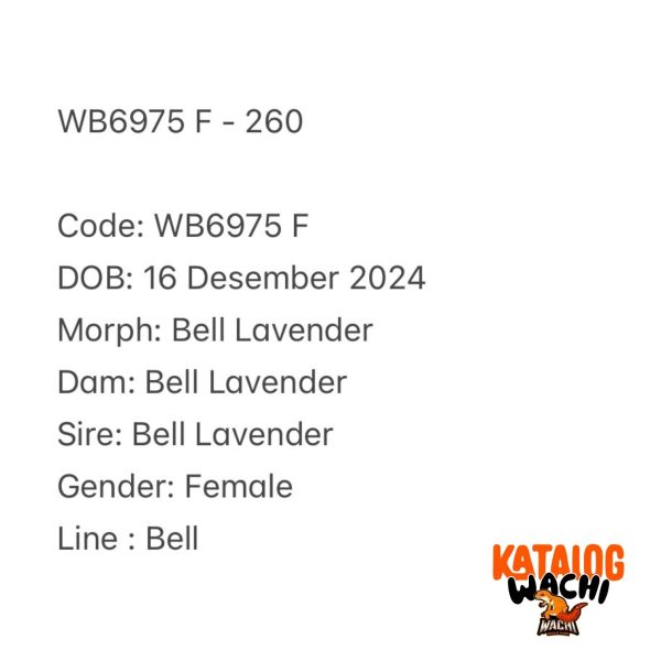 WB6975 F