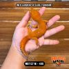 WB7137 M | PEDES BANGET 🥵🥵🥵