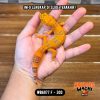 WB6977 F | Jeruk Cakep 🍊🔥