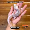 WB7039 F | Senyum2 GENDUT 🥹 Mata Full Hitam ⚫️👅⚫️