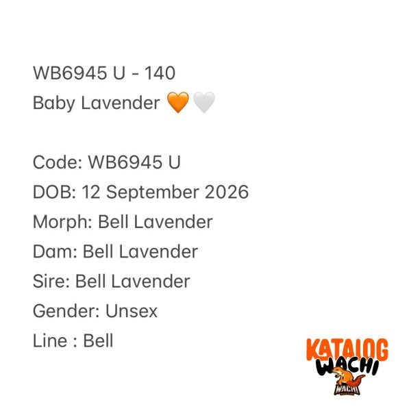 WB6945 U | Baby Lavender 🧡🤍