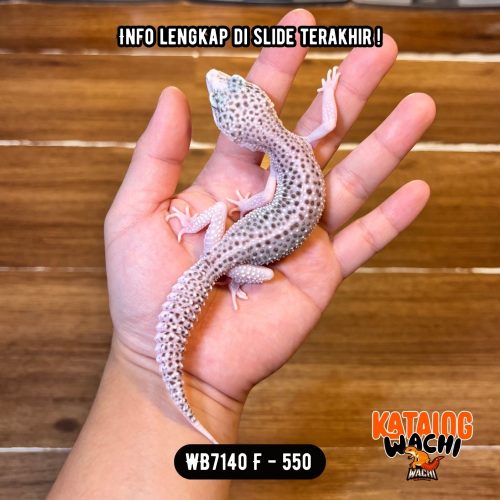 122 WB7140 F | Si Paling Senyum 🥹 Mata Full Hitam ⚫️👅⚫️