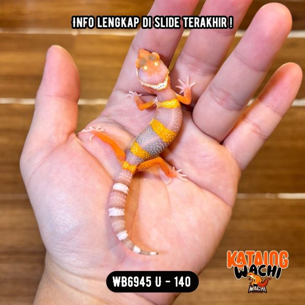 WB6945 U | Baby Lavender 🧡🤍