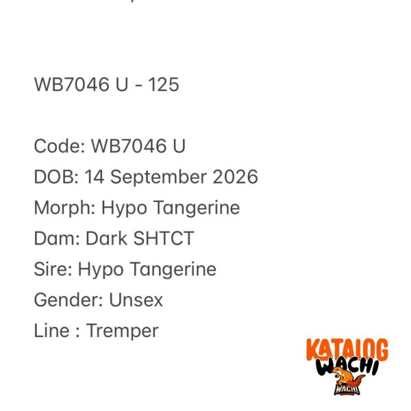 WB7046 U