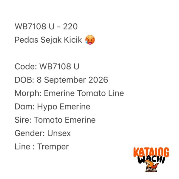 WB7108 U | Pedas Sejak Kicik 🥵