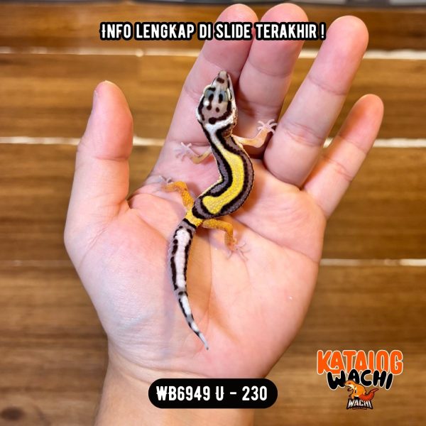 WB6949 U | Kuning Ngejreng 💛🖤