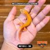 WB7109 U | Full Oyen Sejak Kicik 🎃