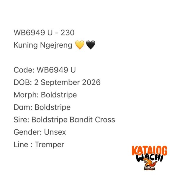 WB6949 U | Kuning Ngejreng 💛🖤
