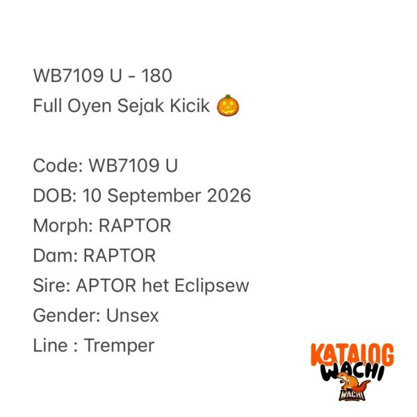 WB7109 U | Full Oyen Sejak Kicik 🎃