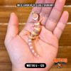 WB7110 U