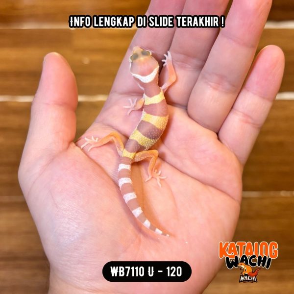 WB7110 U