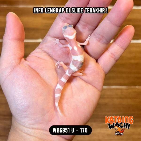 WB6951 U | Baby Strawberry Milk 🍓🥛
