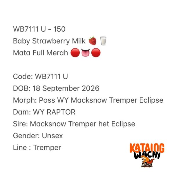 WB7111 U | Baby Strawberry Milk 🍓🥛 Mata Full Merah 🔴👅🔴