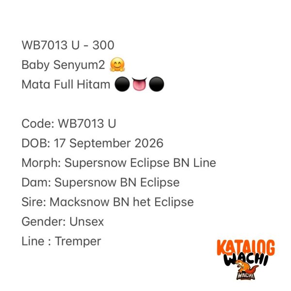 WB7013 U | Baby Senyum2 🤗 Mata Full Hitam ⚫️👅⚫️