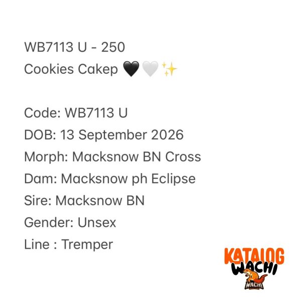 WB7113 U | Cookies Cakep 🖤🤍✨