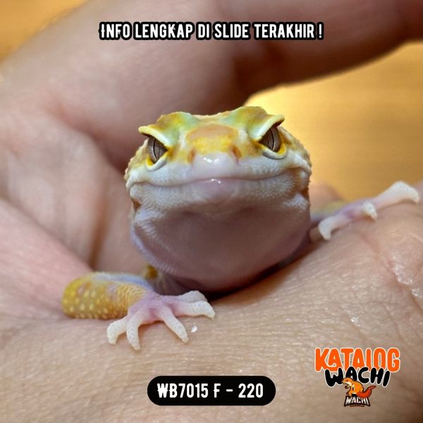 WB7015 F
