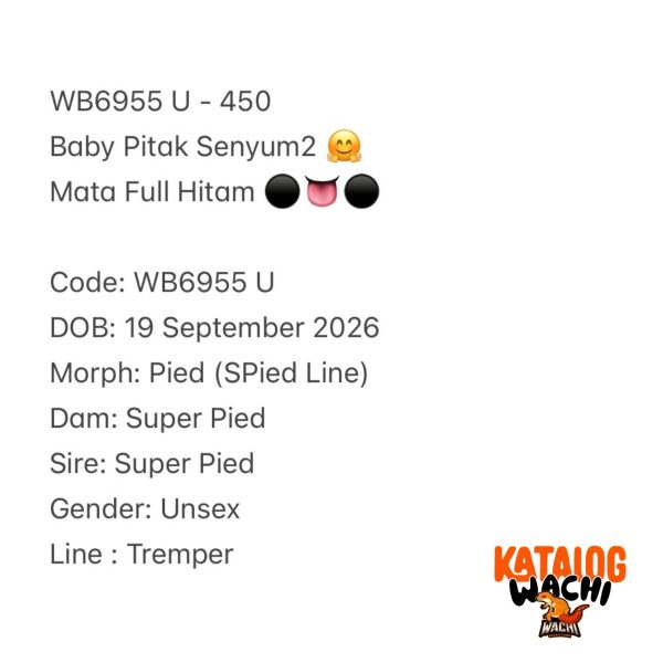 WB6955 U | Baby Pitak Senyum2 🤗 Mata Full Hitam ⚫️👅⚫️
